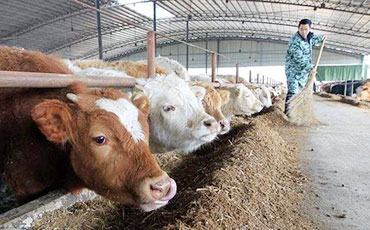 2025生鮮乳保鮮利器：國內(nèi)優(yōu)質(zhì)牛奶制